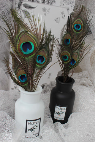 Peacock Feather Diffuser Set