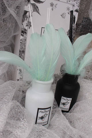 Light Turquoise Goose Feather Diffuser Set