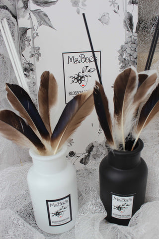 Mallard Duck Feather Diffuser Set